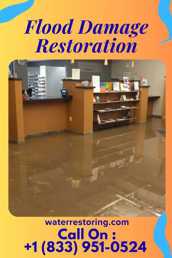 Flood Damage Restoration in Wallace Ridge, LA